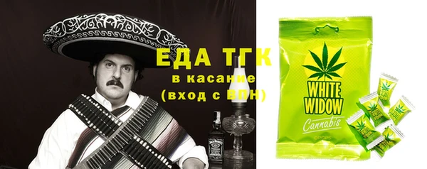 хмурый Алексин