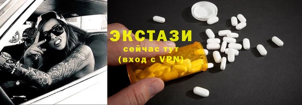 хмурый Алексин