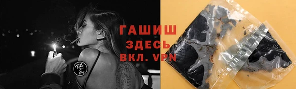 хмурый Алексин