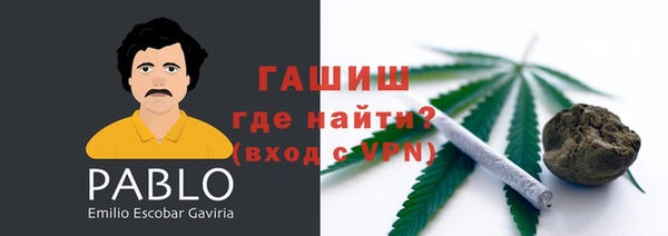хмурый Алексин