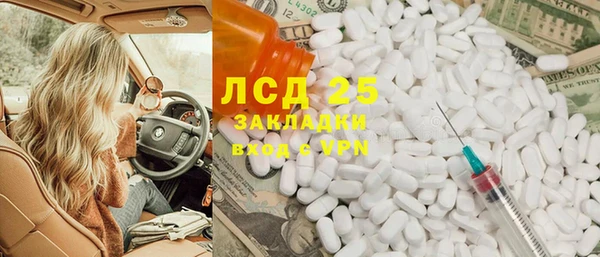 хмурый Алексин